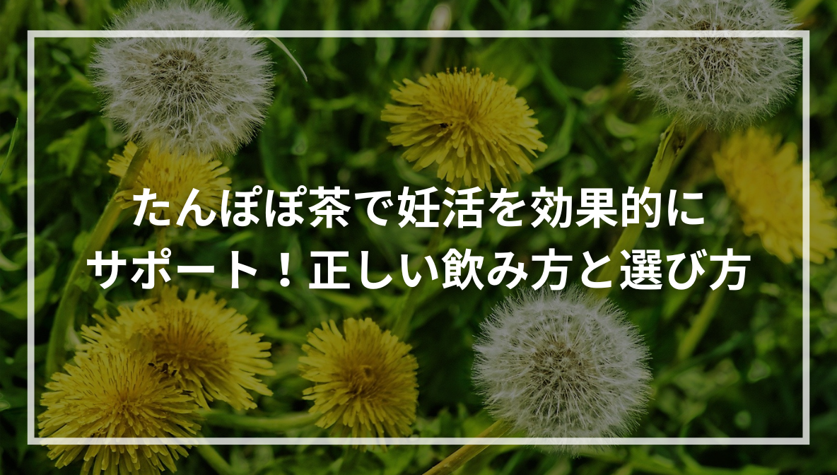 たんぽぽ茶で妊活を効果的にサポート！正しい飲み方と選び方 - お 